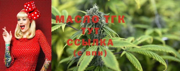 mix Бородино